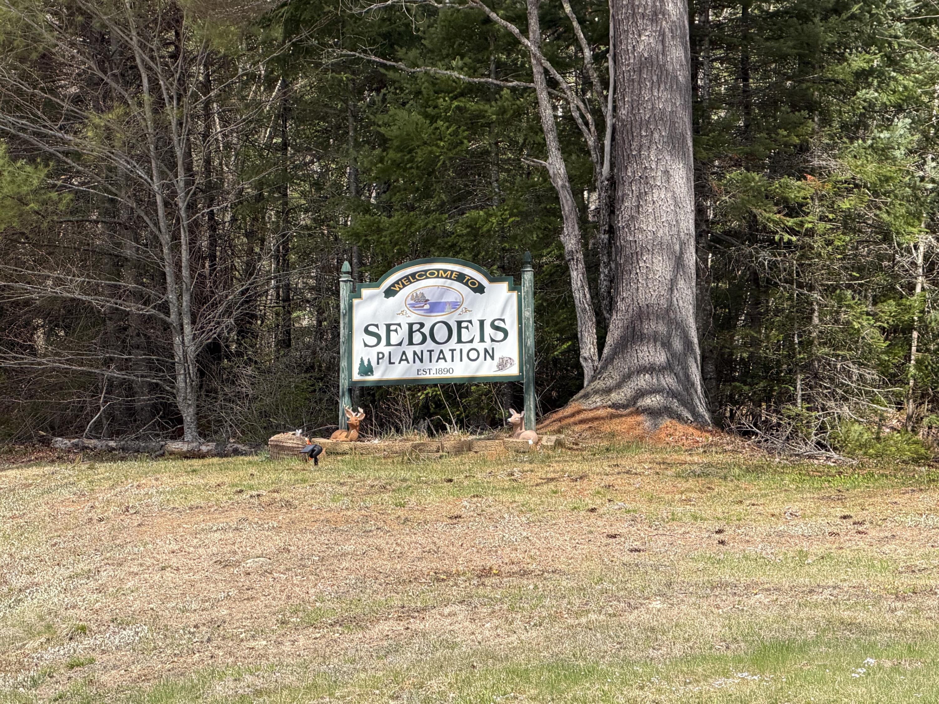 1163 Seboeis Road