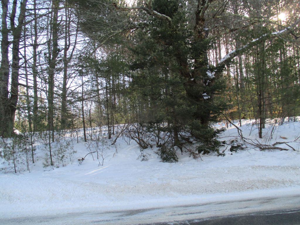 Photo of 795 Lot #2 Empire Road, Poland, ME 04274 (MLS # 1652331)