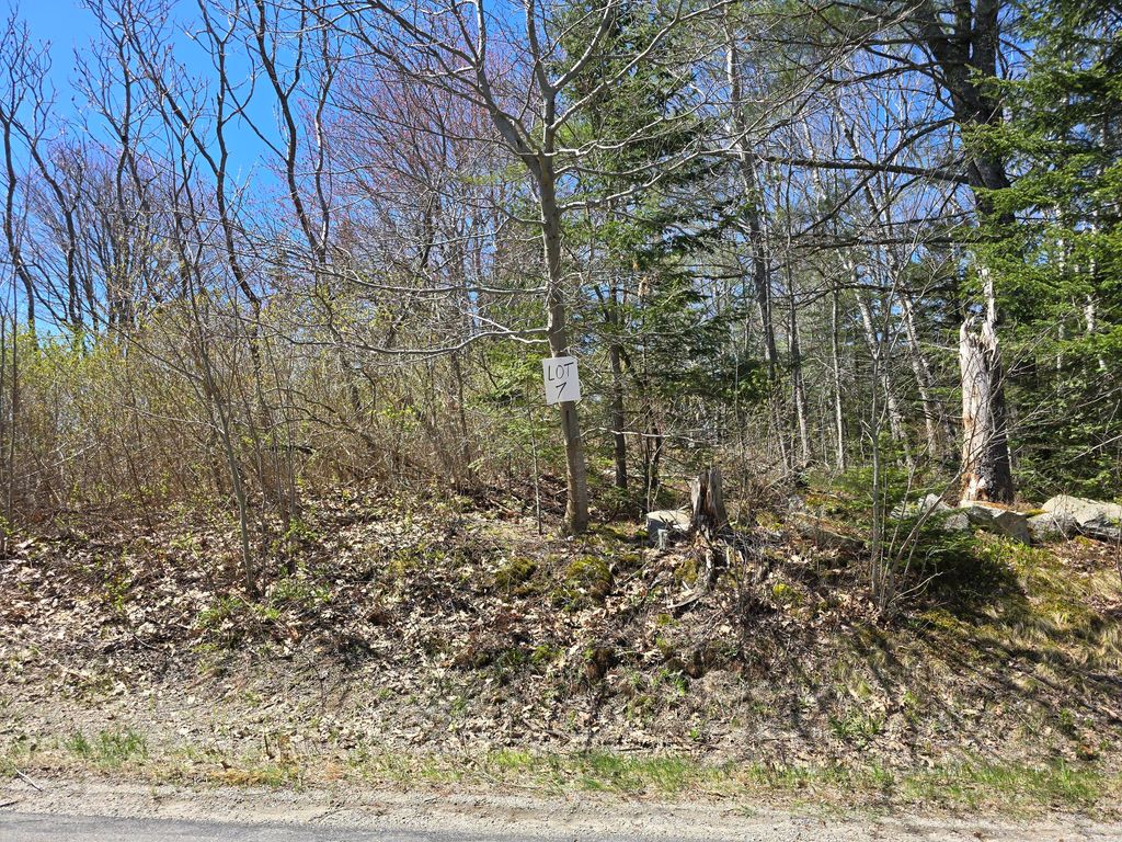 Photo of Lot #7 Wallston Road, Saint George, ME 04860 (MLS # 1661236)