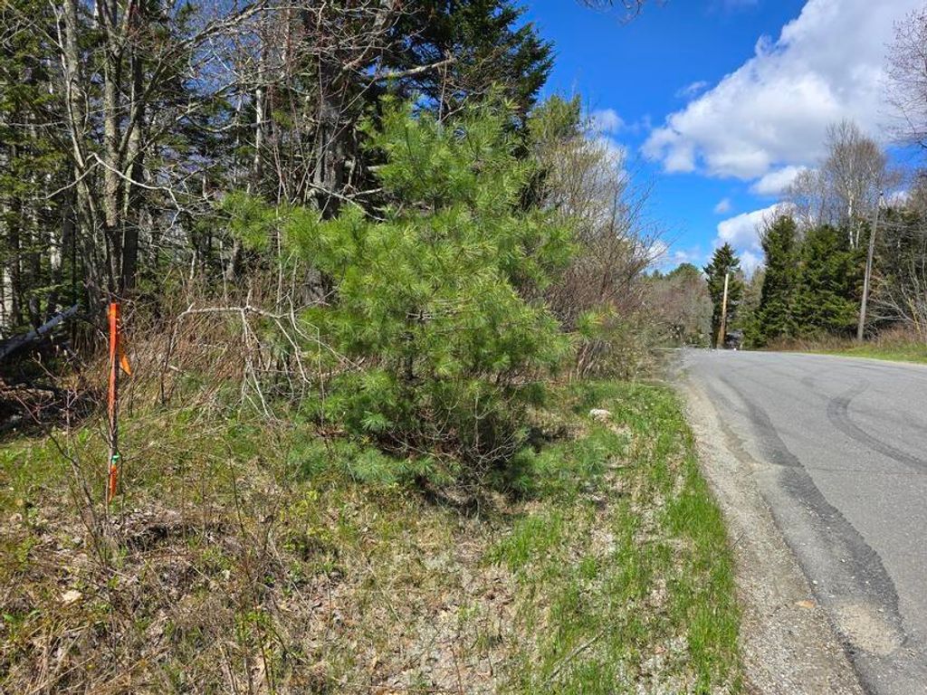 Photo of Lot #7 Wallston Road, Saint George, ME 04860 (MLS # 1661236)
