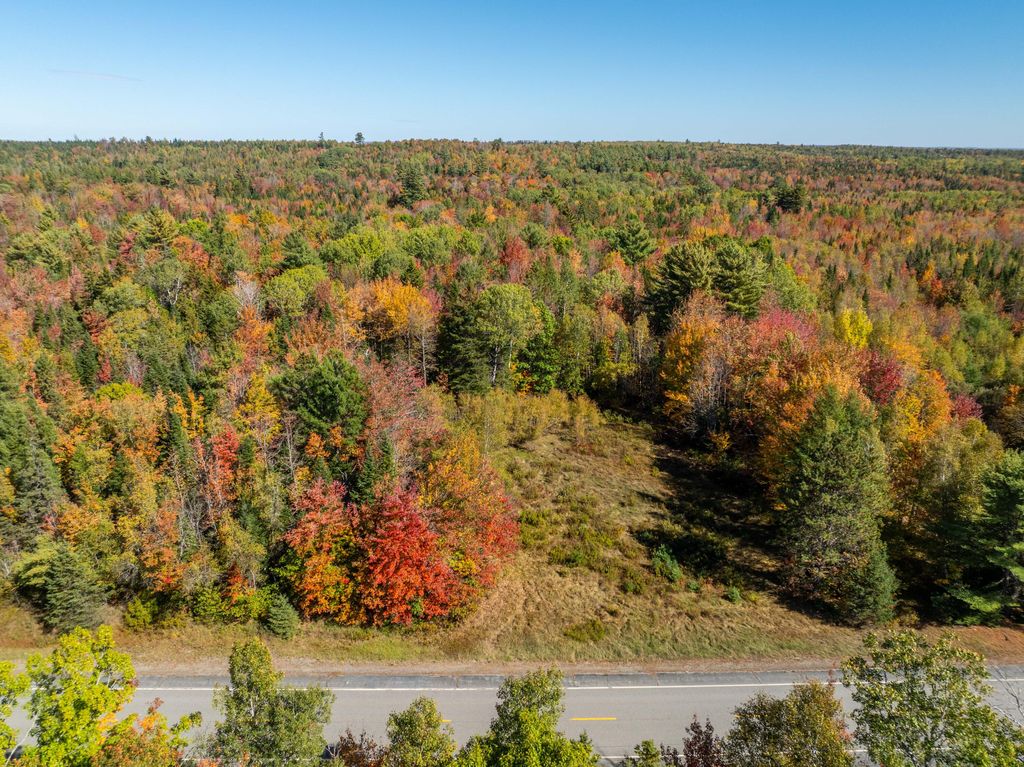 Photo of TBD 22Acre US Rt One, Waite, ME 04492 (MLS # 1639337)