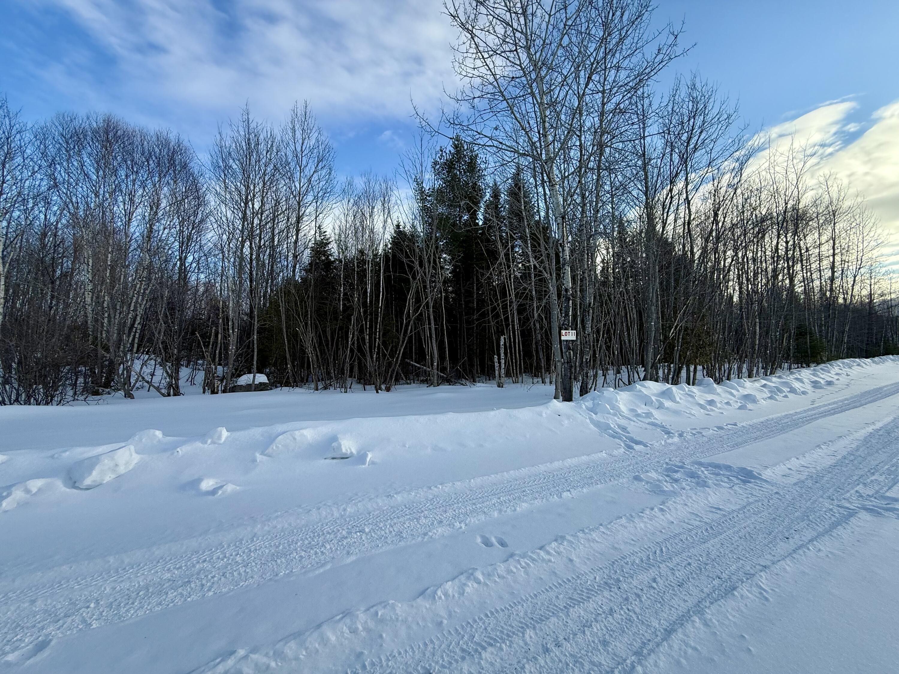 Lot #11 Greenville Steam Road