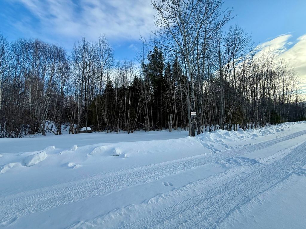 Photo of Lot #11 Greenville Steam Road, Greenville, ME 04441 (MLS # 1653054)
