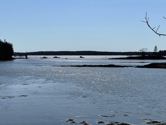 LOT 15-5 FORT WILLIAMS ROAD, HARRINGTON, ME 04643 - Image 861ab29da8d76da109ea424d5b5c5ce6/578357742