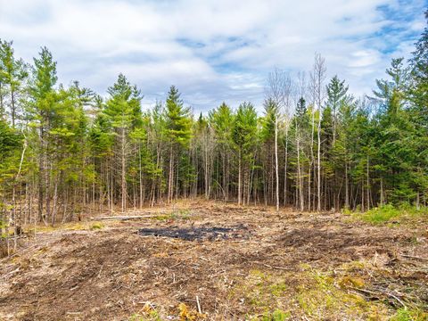 Photo of 3 Forest Drive, Albany Twp, ME 04217 (MLS # 1621649)