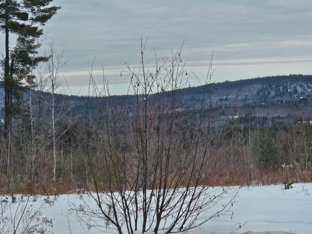 Photo of L52 Bridgton Road, Sweden, ME 04040 (MLS # 1652755)