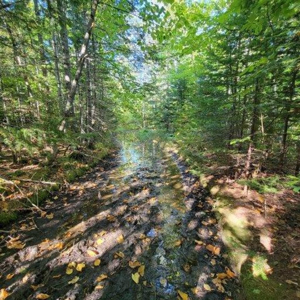 Photo of 862 Hemore Road, Hammond, ME 04730 (MLS # 1642502)