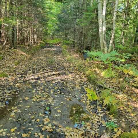 Photo of 862 Henmore Road, Hammond, ME 04730 (MLS # 1642502)