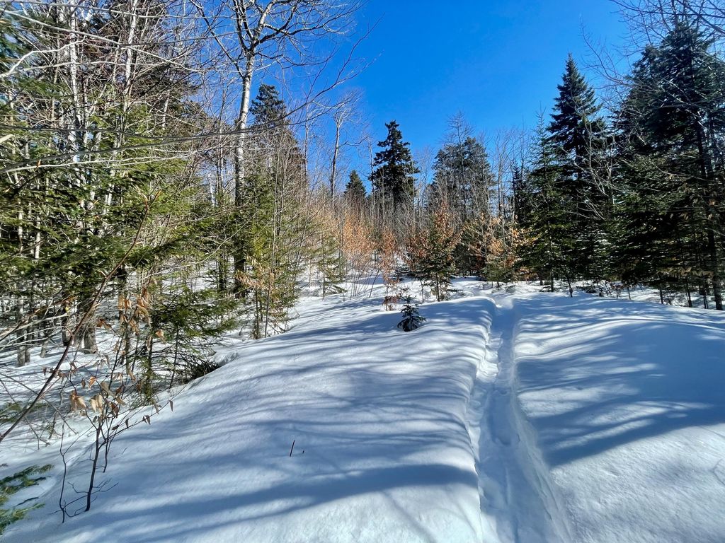 Photo of 2020, 2022 Pond Road, Carrabassett Valley, ME 04947 (MLS # 1652108)