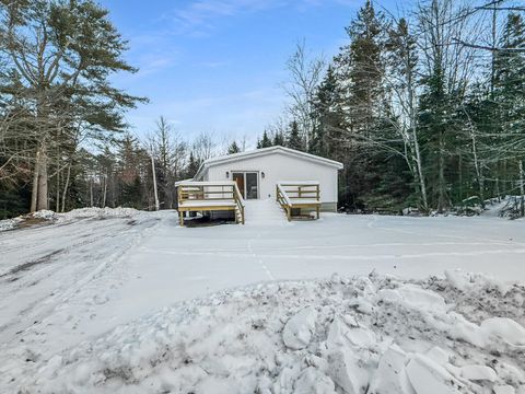 Photo of 42 Mayhew Manor Road, Greenville, ME 04441 (MLS # 1646780)