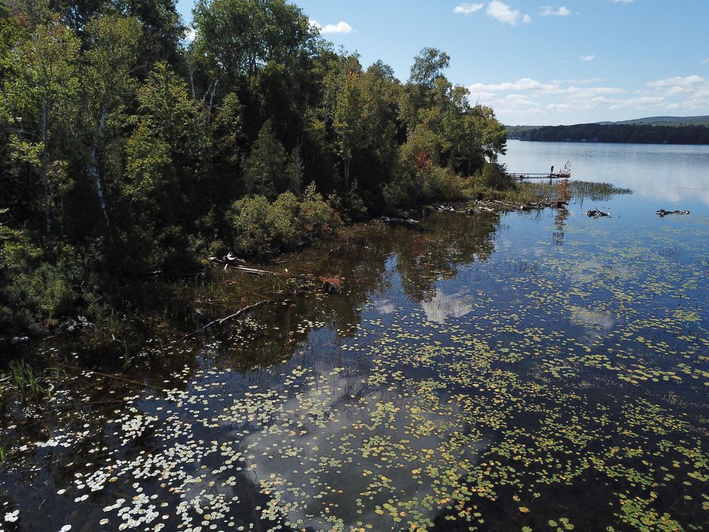Photo of TBD Dexter Road, Saint Albans, ME 04971 (MLS # 1639473)