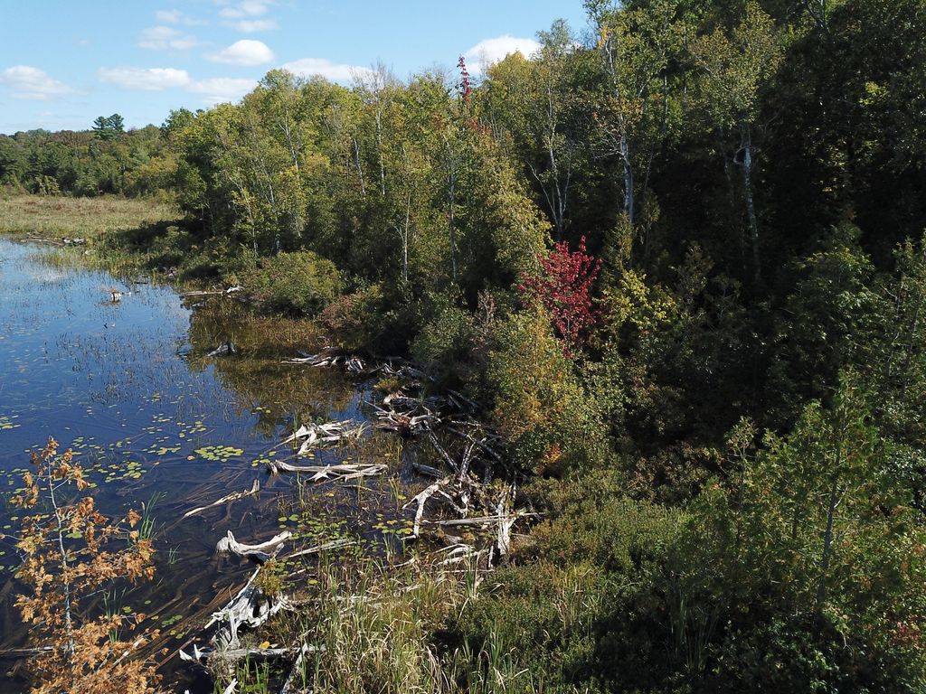 Photo of TBD Dexter Road, Saint Albans, ME 04971 (MLS # 1639473)