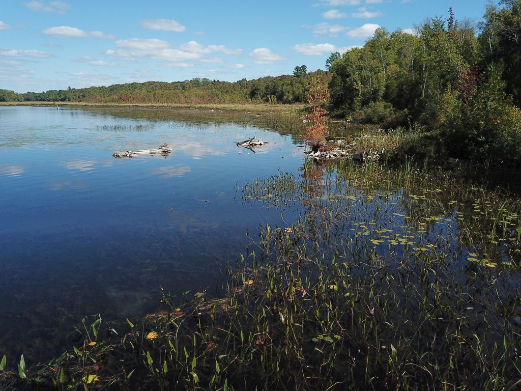 Photo of TBD Dexter Road, Saint Albans, ME 04971 (MLS # 1639473)