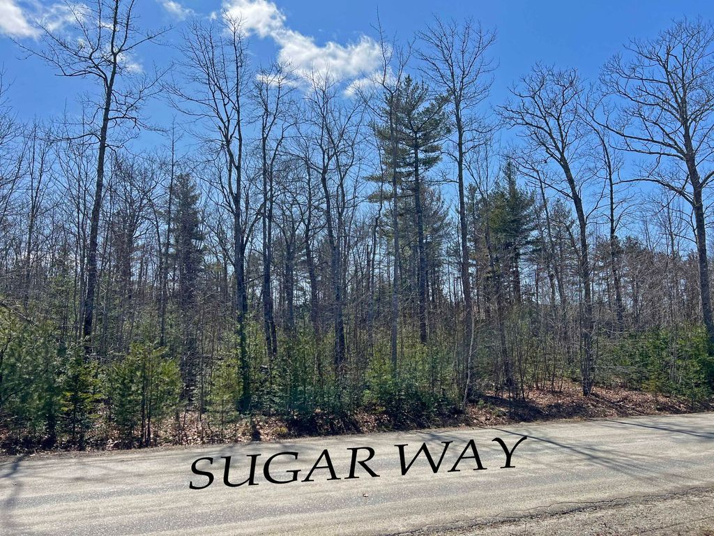 Photo of 0 Sugar Way, Ellsworth, ME 04605 (MLS # 1654063)