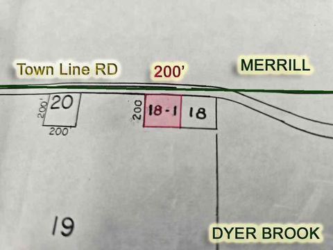 Lot 18.1 Town Line Road Dyer Brook ME 04747