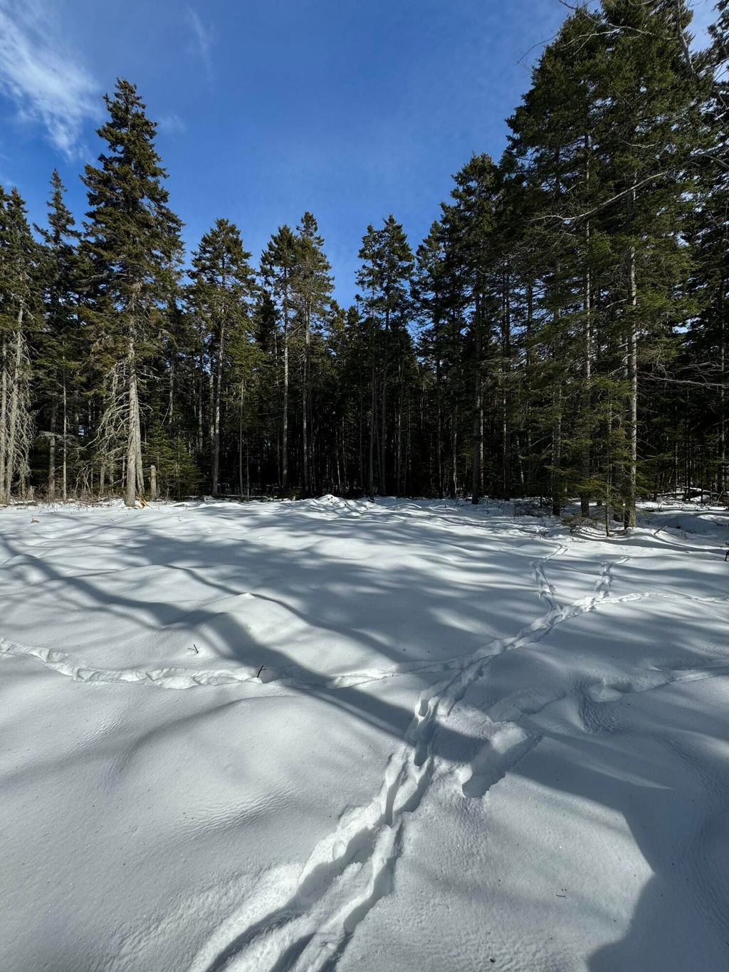 Photo of 12 Jamestown Road, Vinalhaven, ME 04863 (MLS # 1654472)