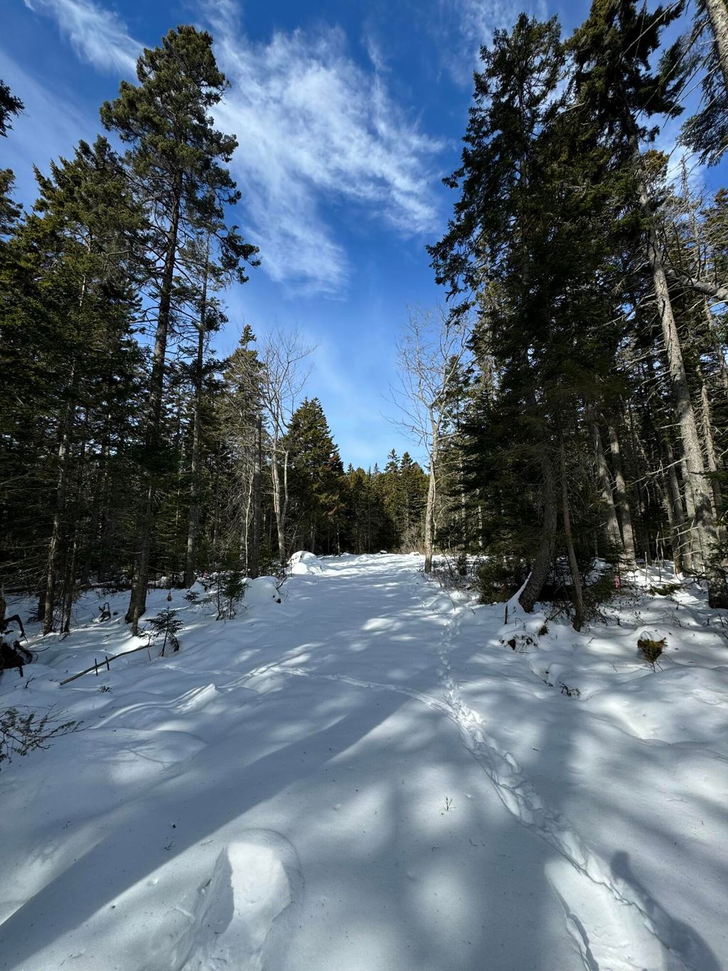 Photo of 12 Jamestown Road, Vinalhaven, ME 04863 (MLS # 1654472)