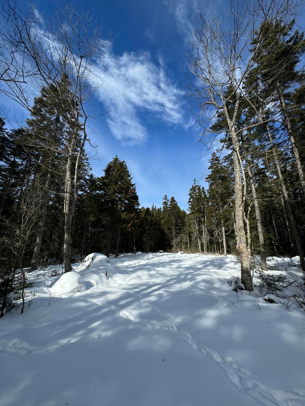 Photo of 12 Jamestown Road, Vinalhaven, ME 04863 (MLS # 1654472)