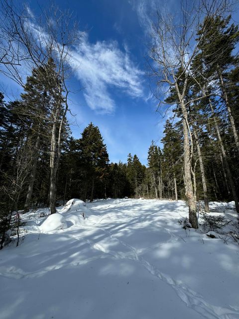 Photo of 12 Jamestown Road, Vinalhaven, ME 04863 (MLS # 1654472)