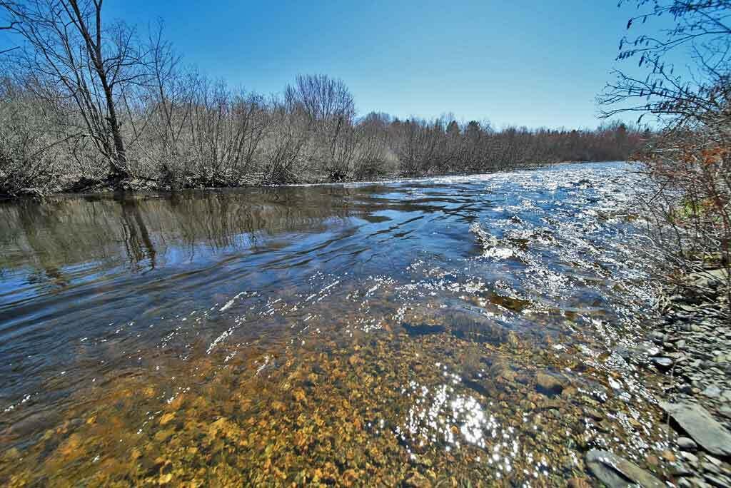Lot 8 River Road