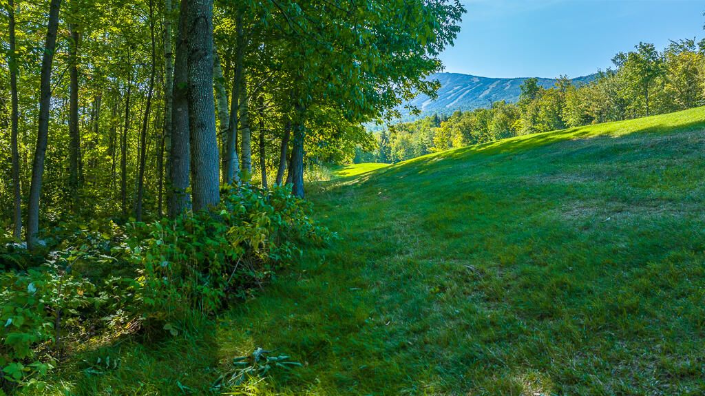 Photo of 6094 Village On The Green Road, Carrabassett Valley, ME 04947 (MLS # 1640240)