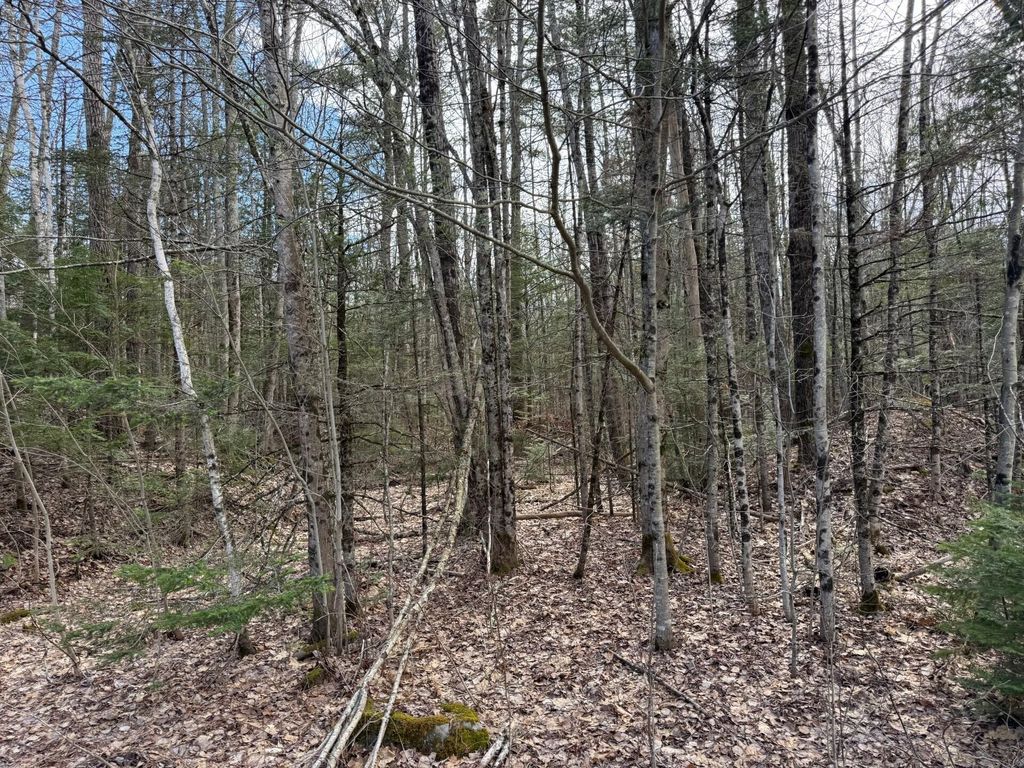 Photo of 864 Winslows Mills Road, Waldoboro, ME 04572 (MLS # 1658023)