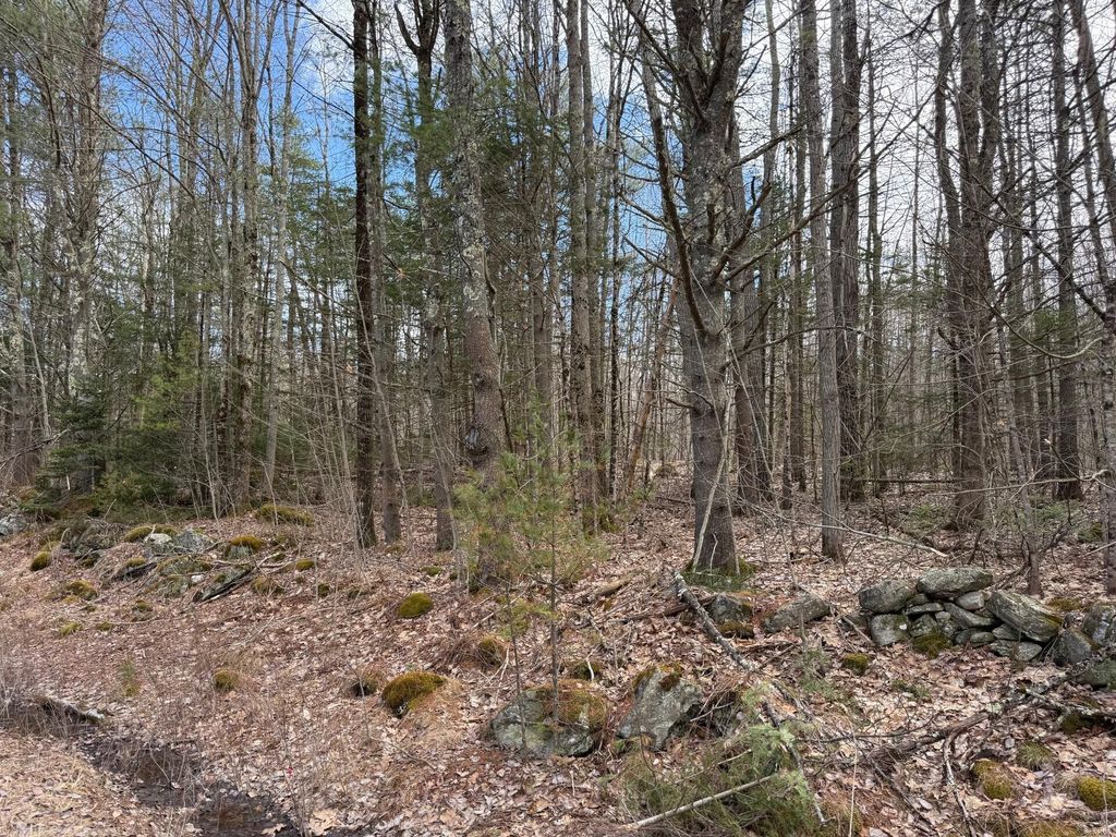 Photo of 864 Winslows Mills Road, Waldoboro, ME 04572 (MLS # 1658023)