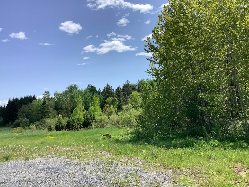Photo of 0 Rene Vaillancourt Home Farm, Cyr Plt, ME 04785 (MLS # 1634075)