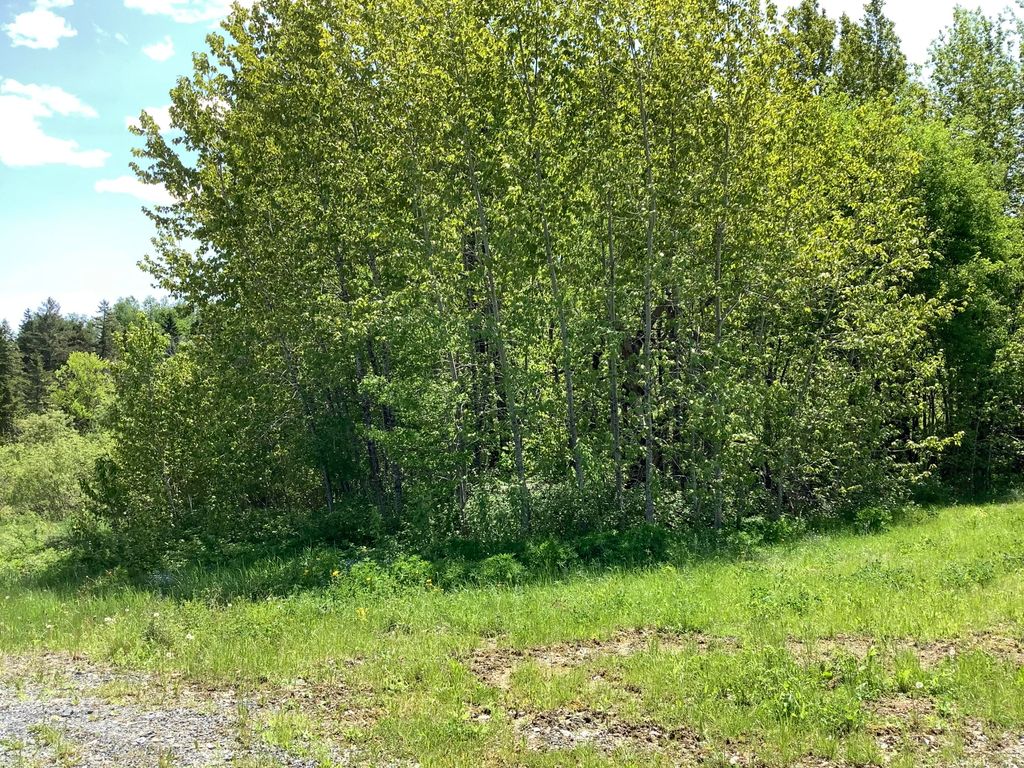 Photo of 0 Rene Vaillancourt Home Farm, Cyr Plt, ME 04785 (MLS # 1634075)