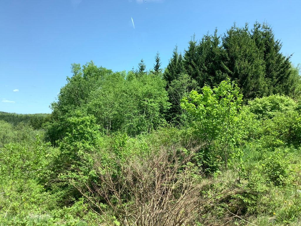 Photo of 0 Rene Vaillancourt Home Farm, Cyr Plt, ME 04785 (MLS # 1634075)