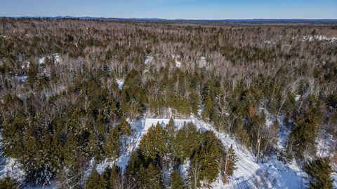 Photo of 80 Raegan Lynn Road, Lyman, ME 04002 (MLS # 1649312)