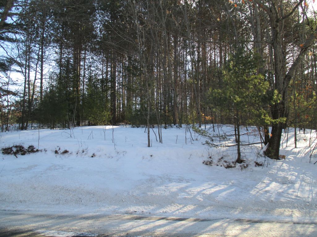 Photo of Lot #2,#3 Empire Road, Poland, ME 04274 (MLS # 1652681)