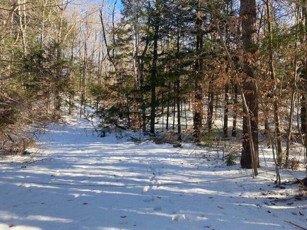 Photo of 21 Kennard Hill Road, Porter, ME 04068 (MLS # 1649567)