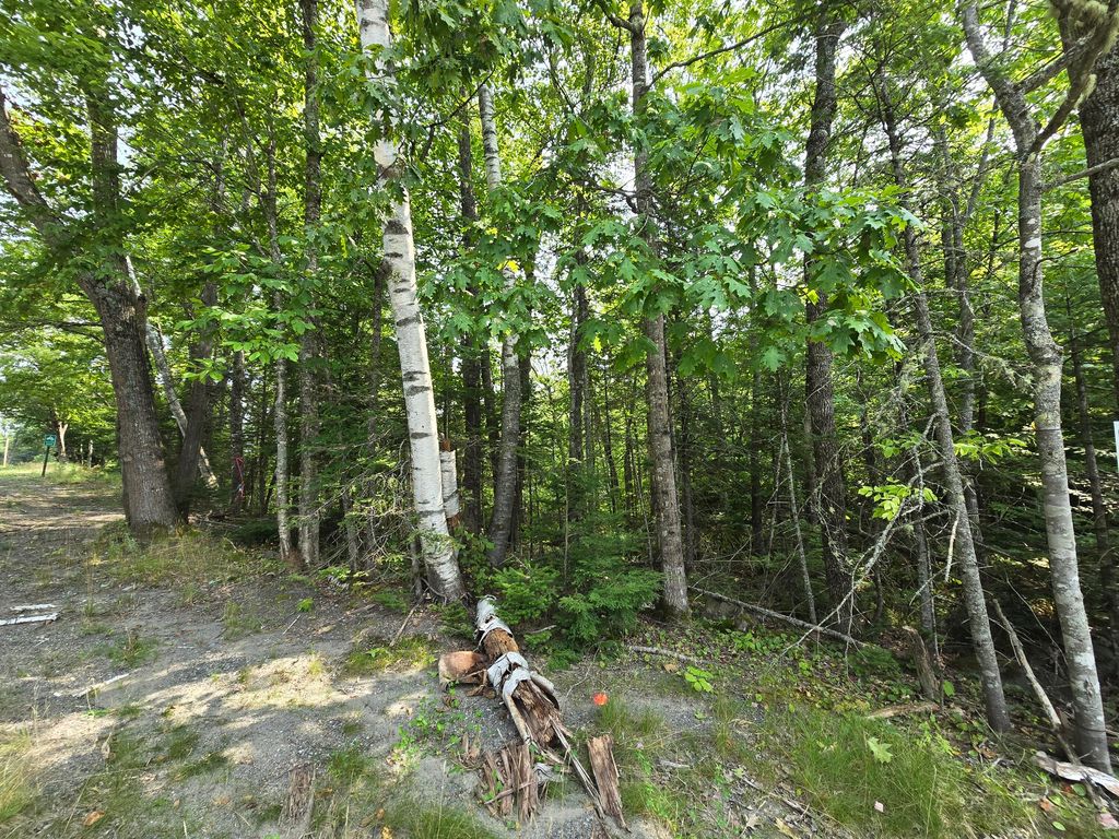 Photo of Lot9 Bear Brook Subdivision, Sebec, ME 04481 (MLS # 1648853)