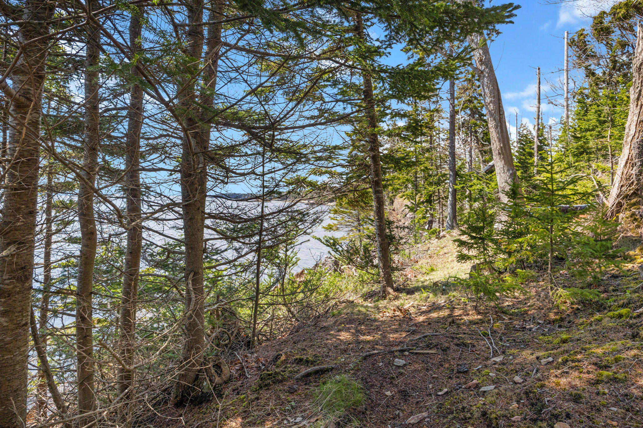 Islesboro, Maine 04848, United States, ,Residential,Active,127453