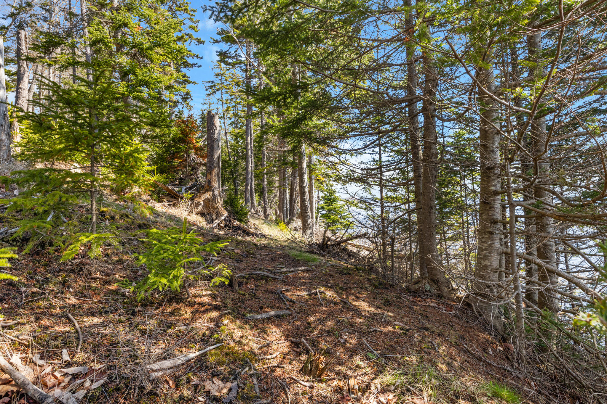 Islesboro, Maine 04848, United States, ,Residential,Active,127453