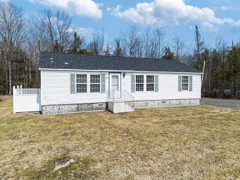 Photo of 269 Summer Street, Oakland, ME 04963 (MLS # 1657812)