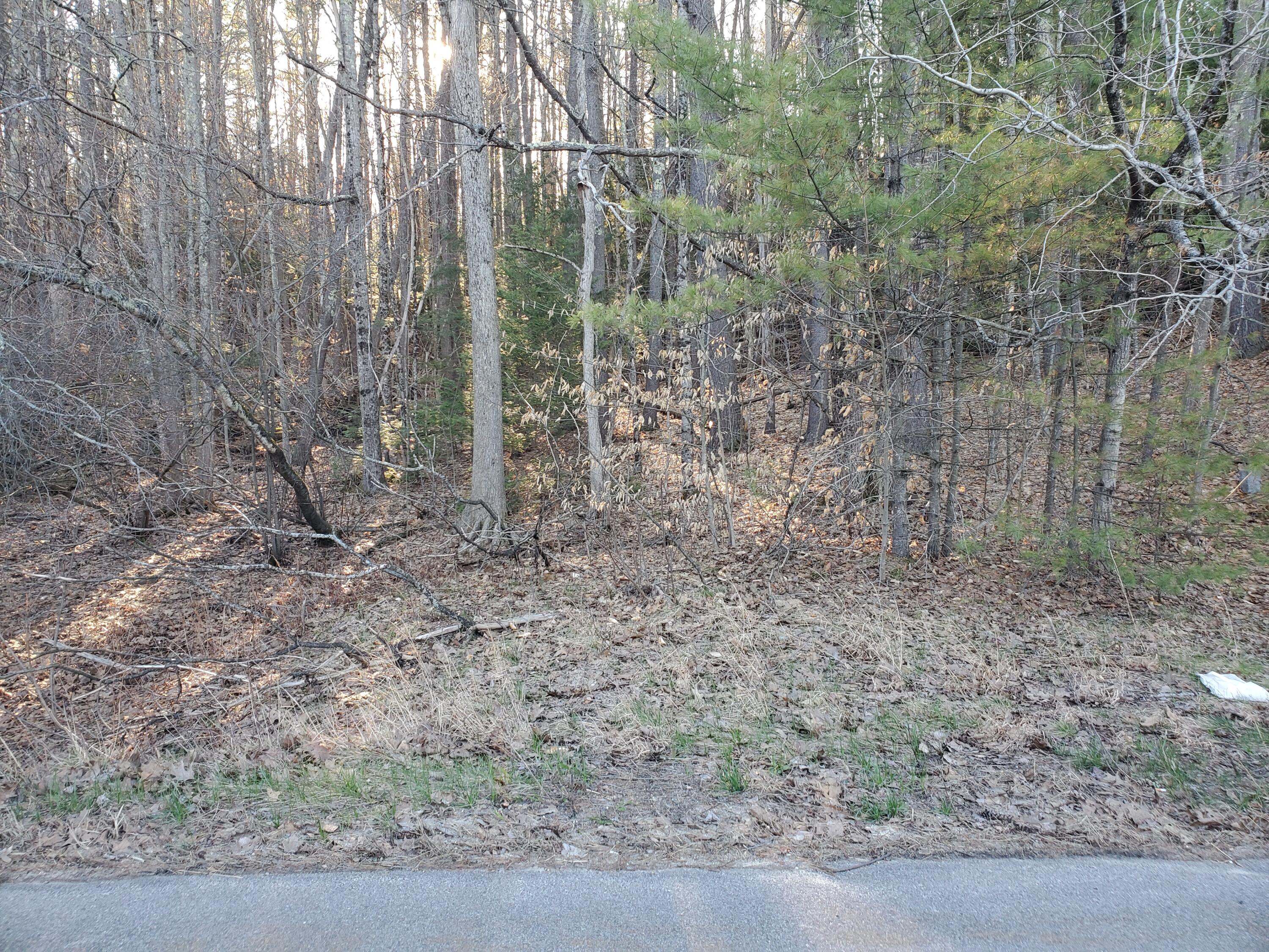 Lot #47 Gray Road