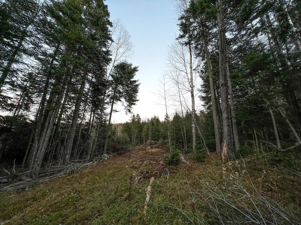 Photo of Lot 16 Mill Brook Road, Sandy River Plt, ME 04970 (MLS # 1652162)