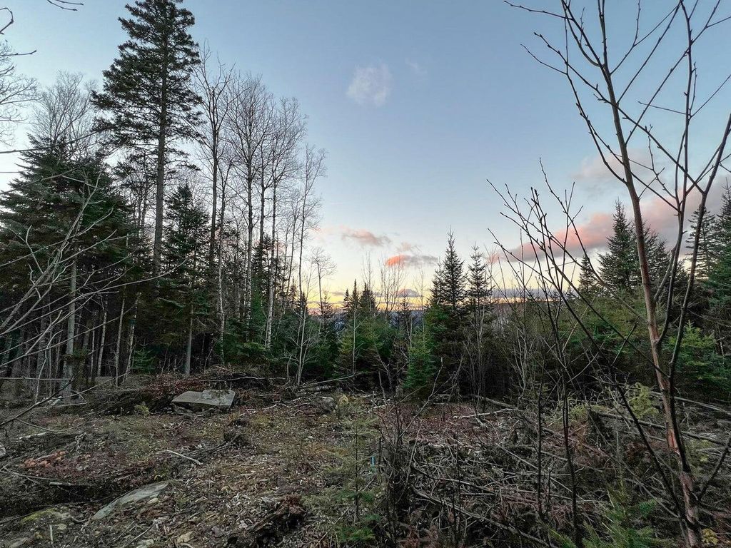 Photo of Lot 16 Mill Brook Road, Sandy River Plt, ME 04970 (MLS # 1652162)