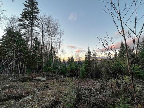 Photo of Lot 16 Mill Brook Road, Sandy River Plt, ME 04970 (MLS # 1652162)