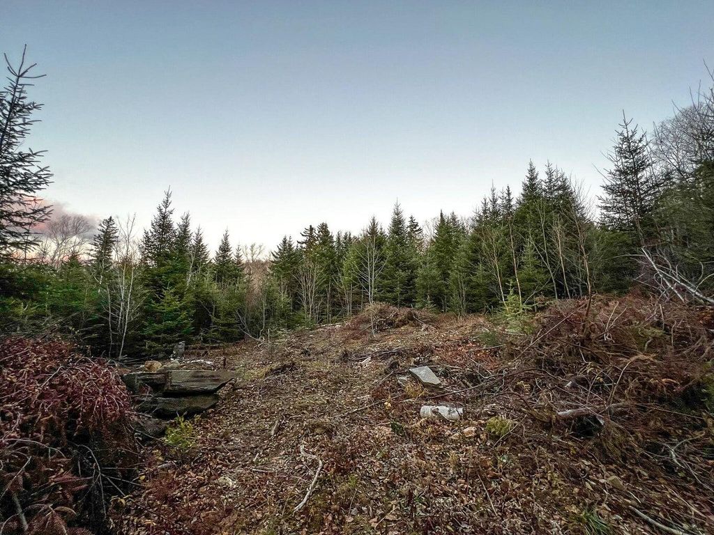 Photo of Lot 16 Mill Brook Road, Sandy River Plt, ME 04970 (MLS # 1652162)