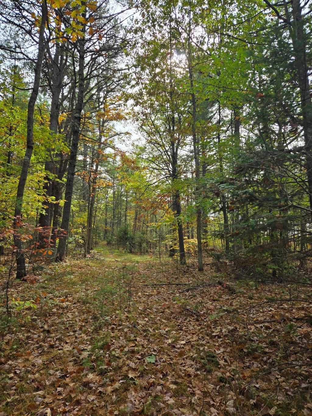 Photo of 133 Plantation Lane, Brownfield, ME 04010 (MLS # 1641385)