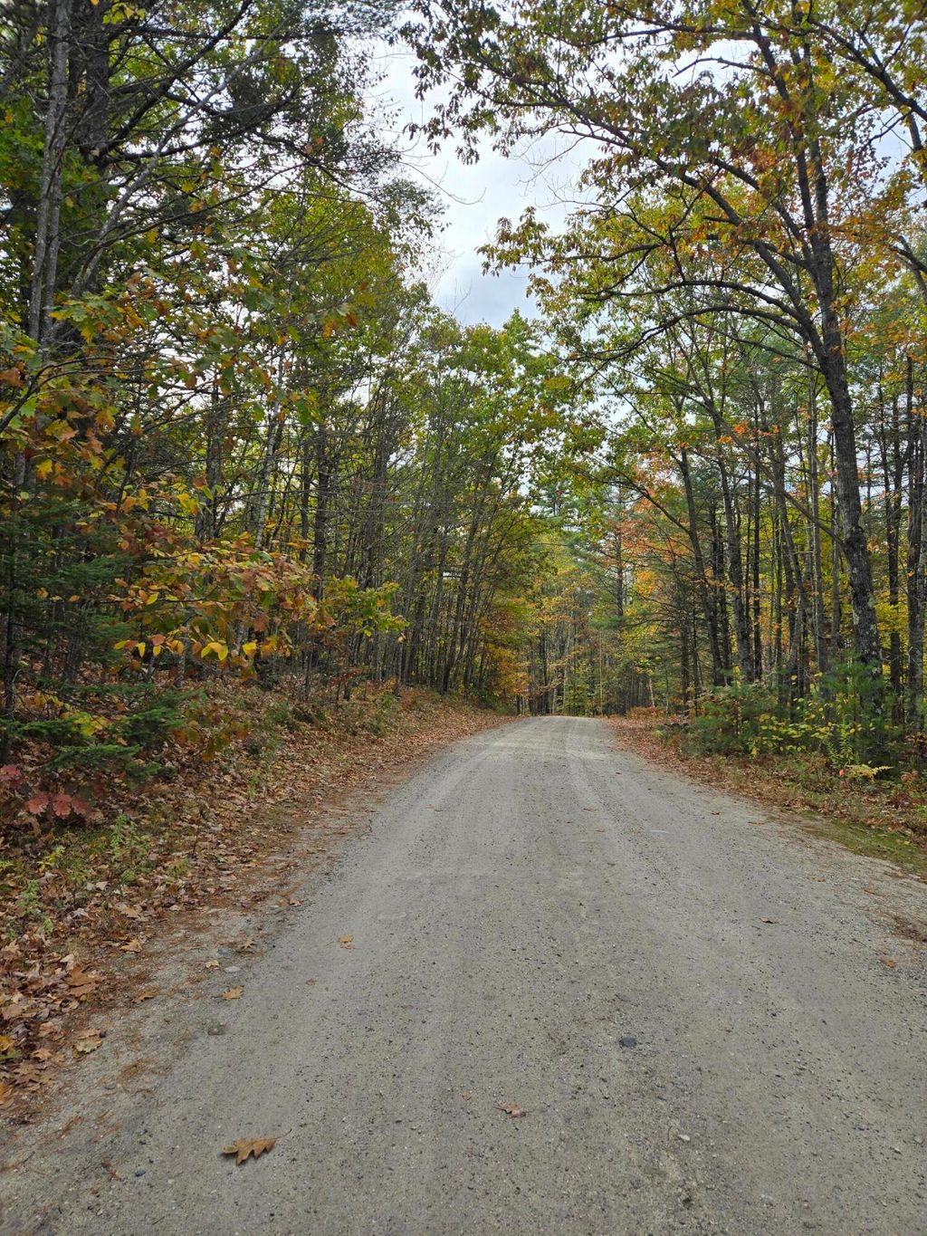 Photo of 133 Plantation Lane, Brownfield, ME 04010 (MLS # 1641385)