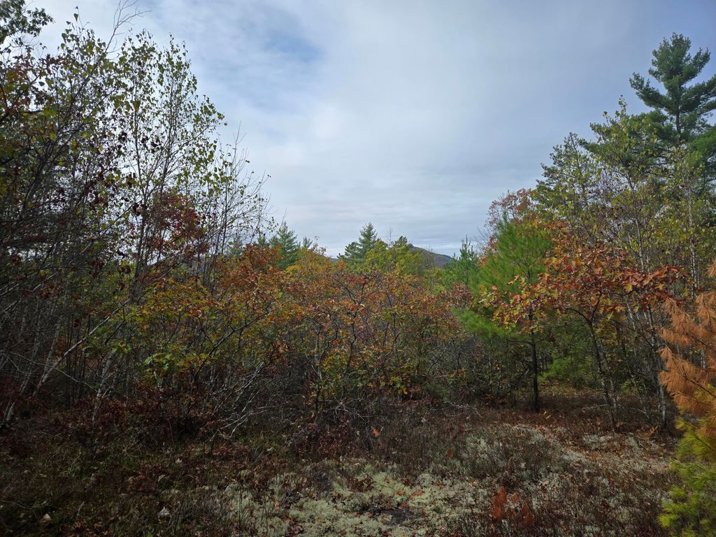 Photo of 133 Plantation Lane, Brownfield, ME 04010 (MLS # 1641385)