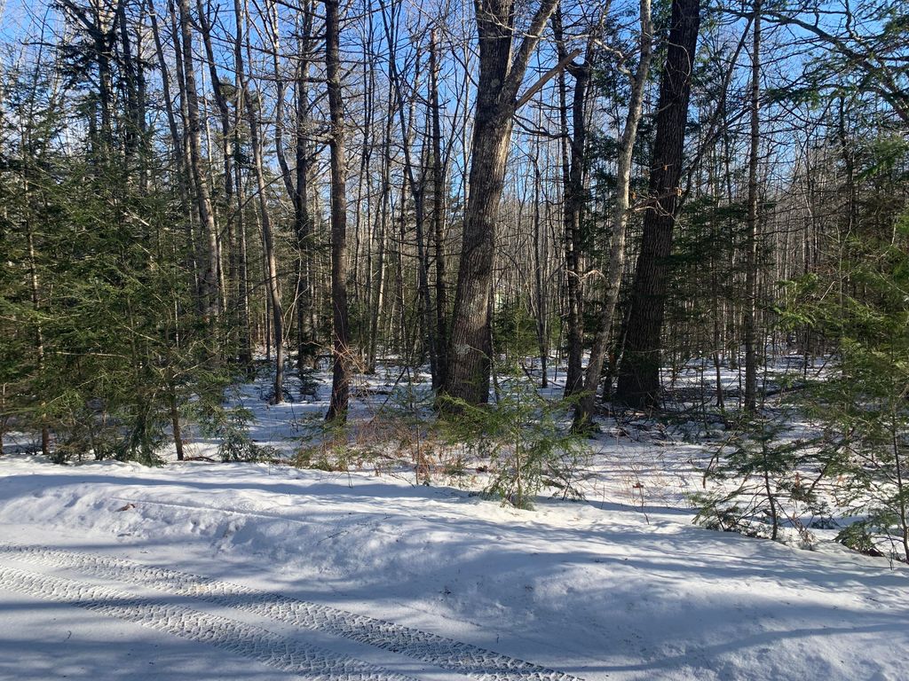 Photo of 3 Airika-B Drive, Lincolnville, ME 04849 (MLS # 1649546)