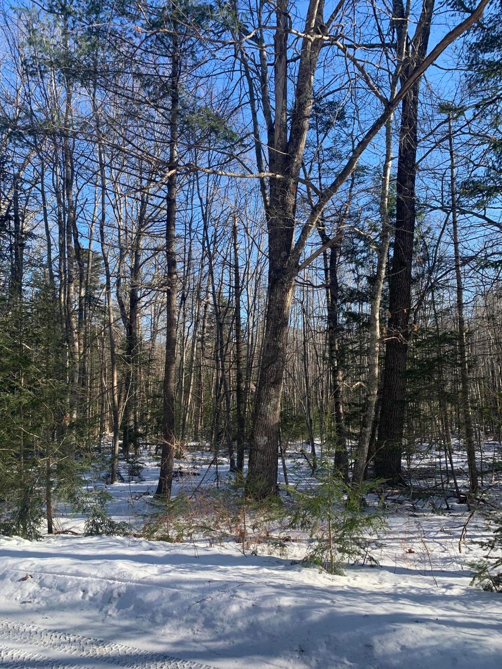 Photo of 3 Airika-B Drive, Lincolnville, ME 04849 (MLS # 1649546)
