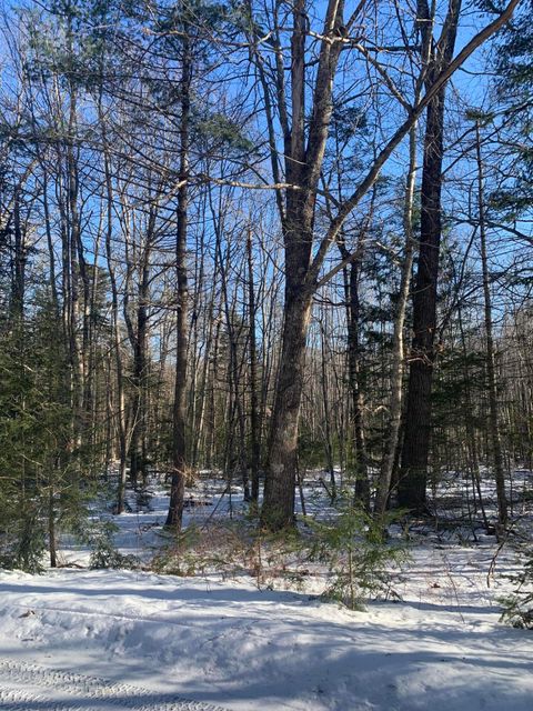 Photo of 3 Airika-B Drive, Lincolnville, ME 04849 (MLS # 1649546)