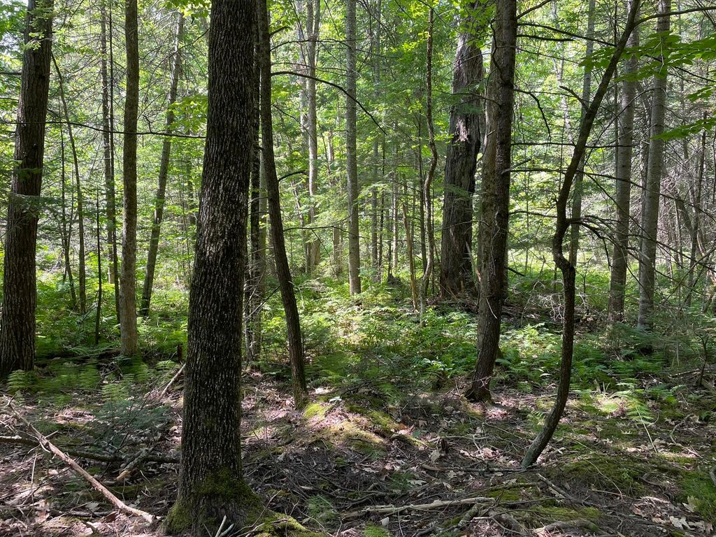 Photo of Lot 6 Holmes Brook Lane, Winthrop, ME 04364 (MLS # 1649646)
