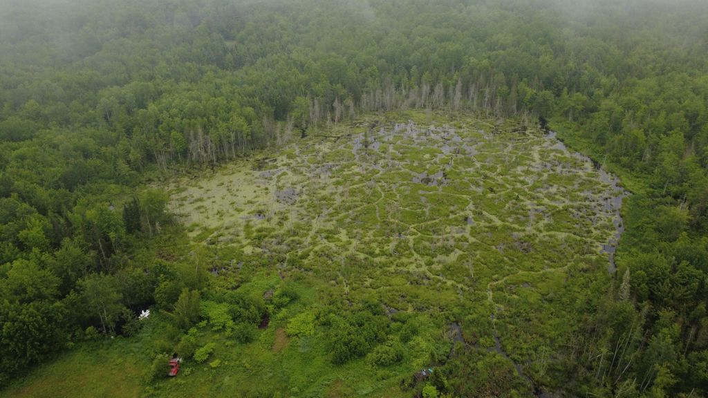 Photo of 48 52 Map PE036 Plan 03 Lot 48 52, Kingman Twp, ME 04451 (MLS # 1650743)